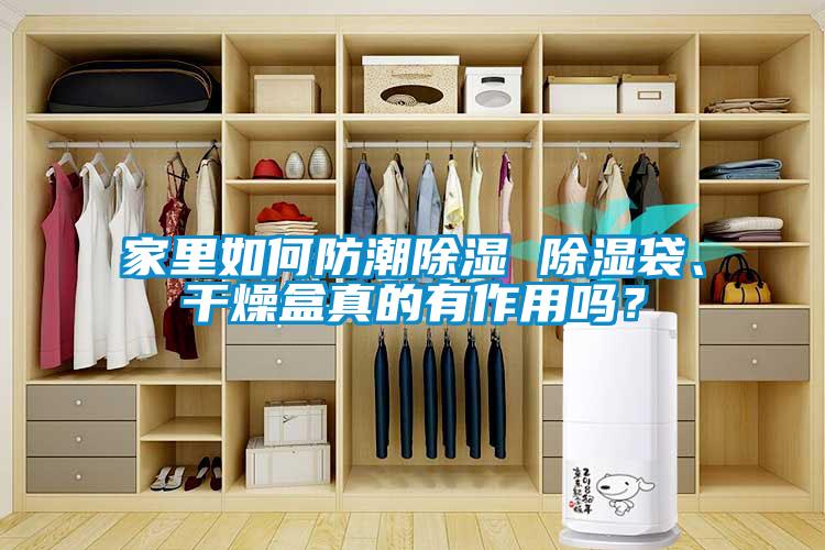 家里如何防潮除濕 除濕袋、干燥盒真的有作用嗎？