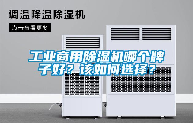 工業商用除濕機哪個牌子好？該如何選擇？