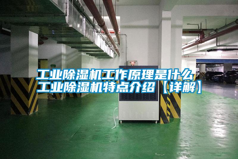 工業除濕機工作原理是什么 工業除濕機特點介紹【詳解】
