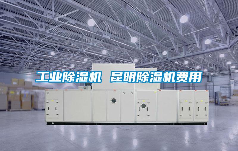 工業除濕機 昆明除濕機費用