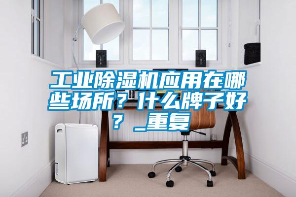 工業除濕機應用在哪些場所？什么牌子好？_重復