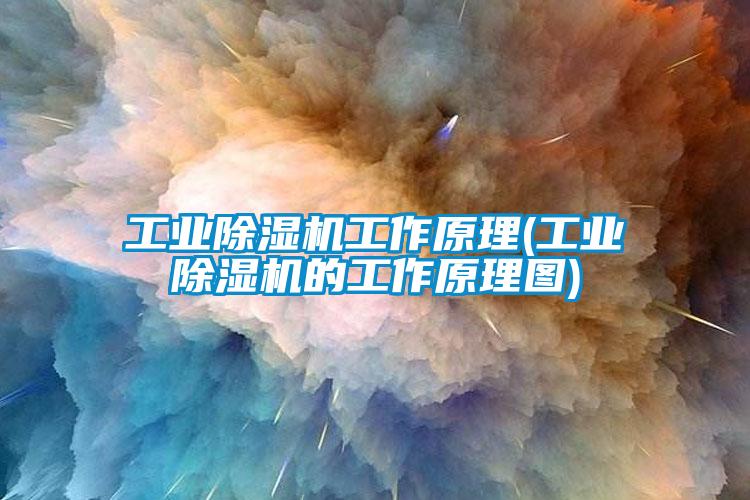 工業除濕機工作原理(工業除濕機的工作原理圖)