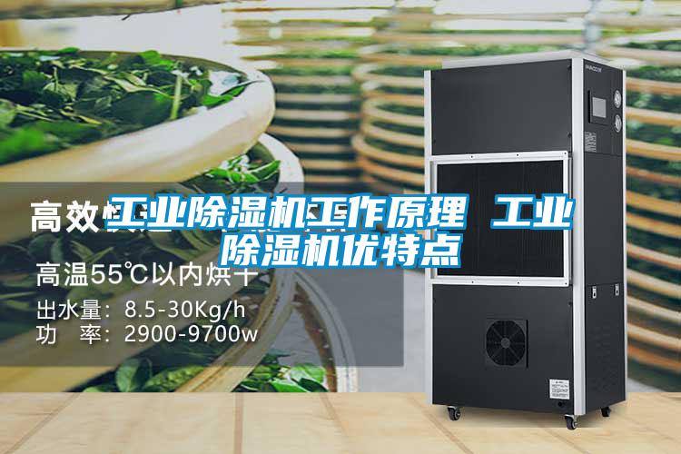 工業除濕機工作原理 工業除濕機優特點