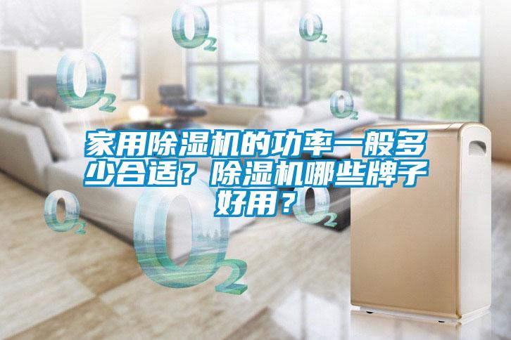 家用除濕機的功率一般多少合適？除濕機哪些牌子好用？