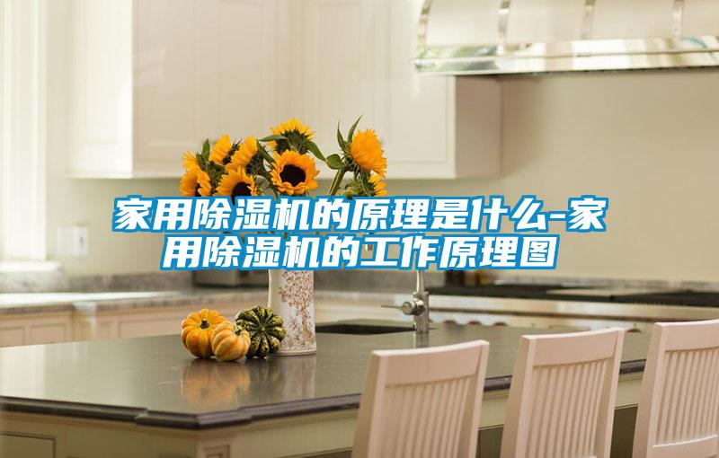 家用除濕機的原理是什么-家用除濕機的工作原理圖