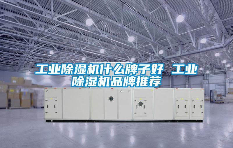 工業除濕機什么牌子好 工業除濕機品牌推薦