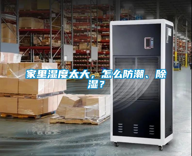 家里濕度太大，怎么防潮、除濕？