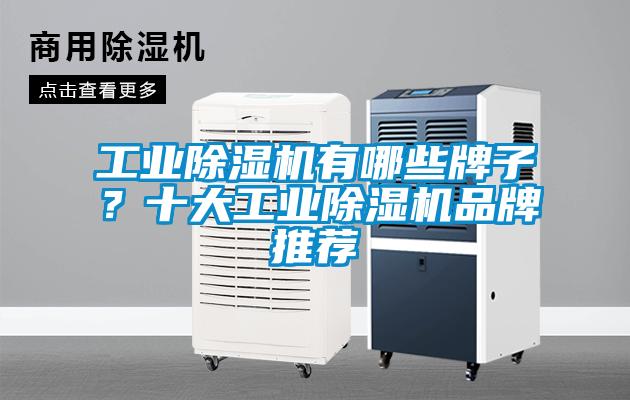 工業除濕機有哪些牌子？十大工業除濕機品牌推薦