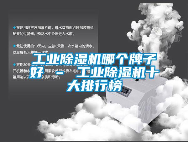 工業除濕機哪個牌子好 – 工業除濕機十大排行榜