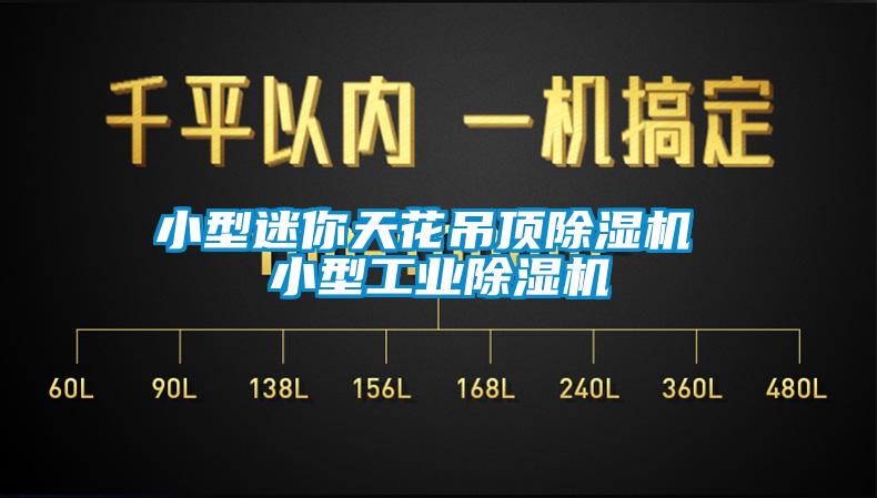 小型迷你天花吊頂除濕機 小型工業除濕機