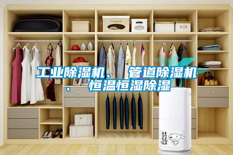 工業(yè)除濕機(jī)、 管道除濕機(jī)、 恒溫恒濕除濕