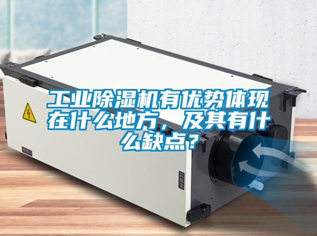工業(yè)除濕機(jī)有優(yōu)勢體現(xiàn)在什么地方，及其有什么缺點(diǎn)？