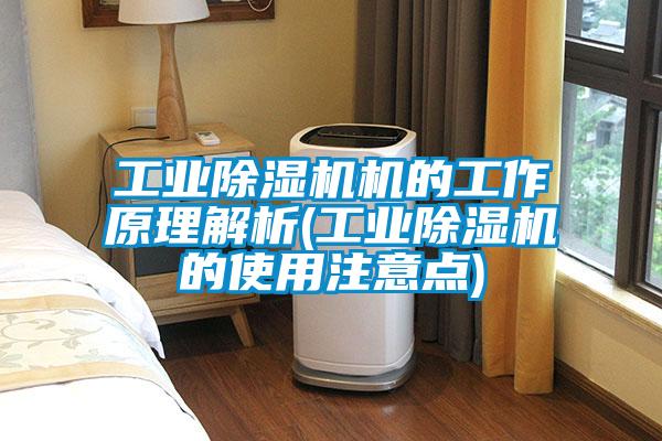 工業除濕機機的工作原理解析(工業除濕機的使用注意點)