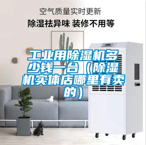 工業用除濕機多少錢一臺（除濕機實體店哪里有賣的）