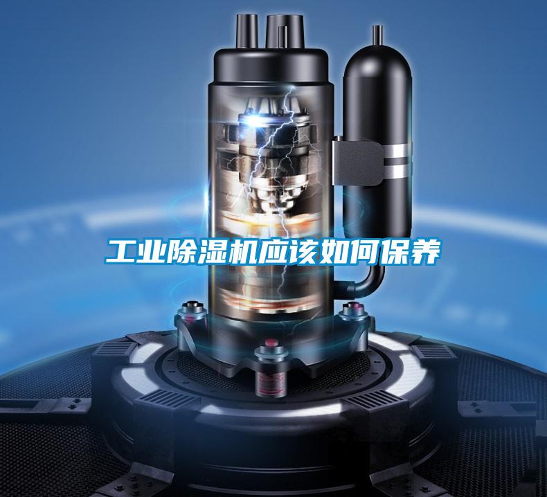 工業除濕機應該如何保養
