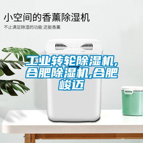 工業轉輪除濕機,合肥除濕機,合肥峻邁