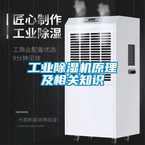 工業(yè)除濕機(jī)原理及相關(guān)知識(shí)