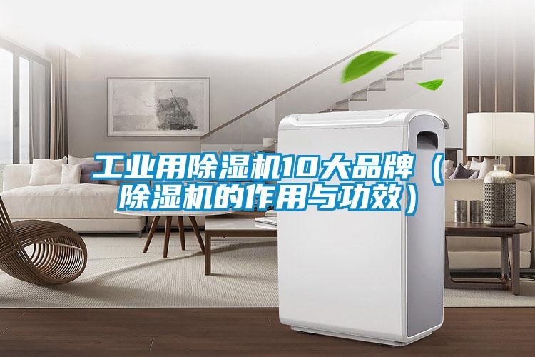 工業用除濕機10大品牌（除濕機的作用與功效）