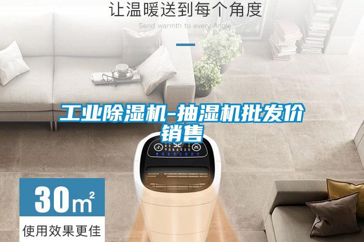 工業除濕機-抽濕機批發價銷售