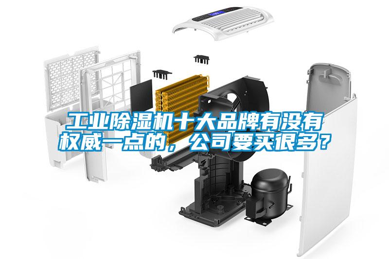 工業除濕機十大品牌有沒有權威一點的，公司要買很多？