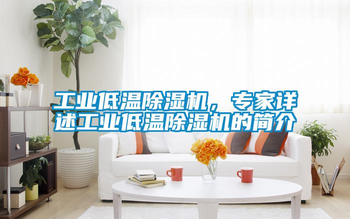 工業低溫除濕機，專家詳述工業低溫除濕機的簡介