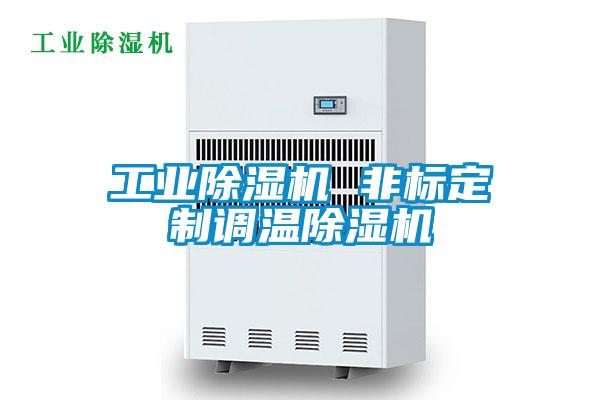 工業除濕機 非標定制調溫除濕機