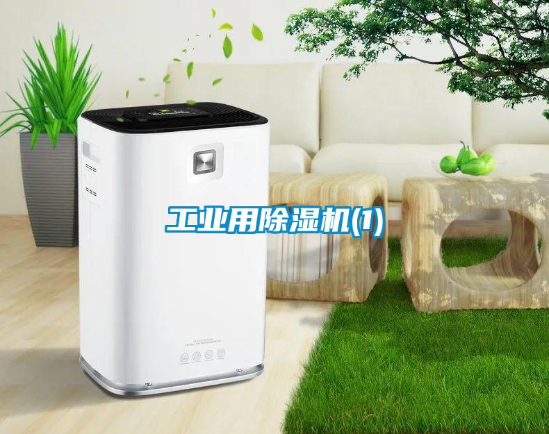 工業用除濕機(1)