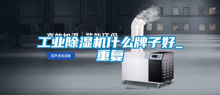 工業除濕機什么牌子好_重復