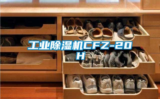 工業(yè)除濕機(jī)CFZ-20H