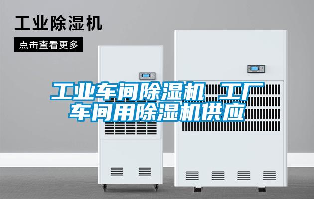 工業車間除濕機 工廠車間用除濕機供應