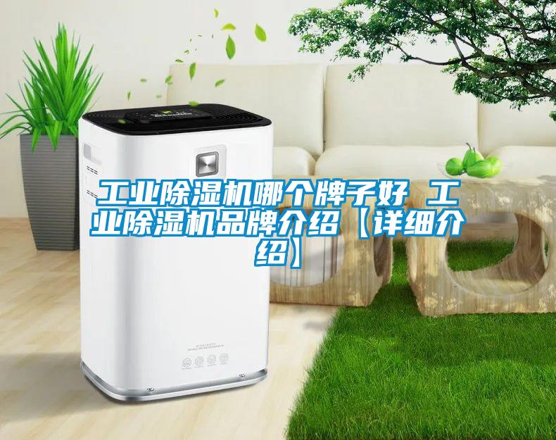 工業除濕機哪個牌子好 工業除濕機品牌介紹【詳細介紹】