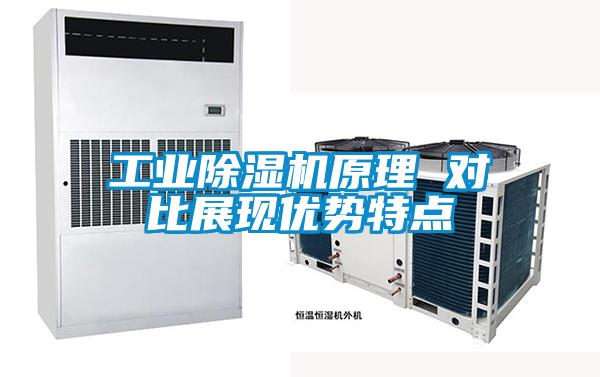 工業(yè)除濕機(jī)原理 對(duì)比展現(xiàn)優(yōu)勢(shì)特點(diǎn)
