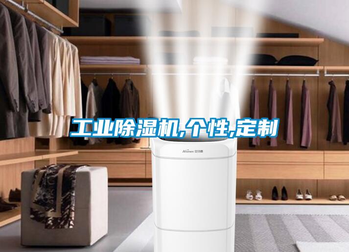 工業除濕機,個性,定制