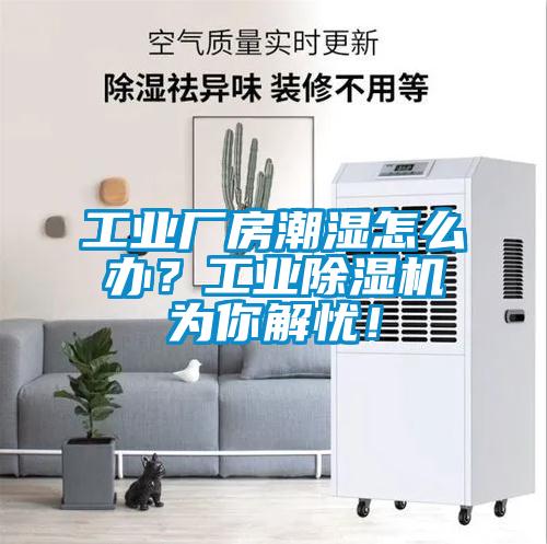 工業廠房潮濕怎么辦？工業除濕機為你解憂！