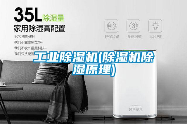 工業除濕機(除濕機除濕原理)