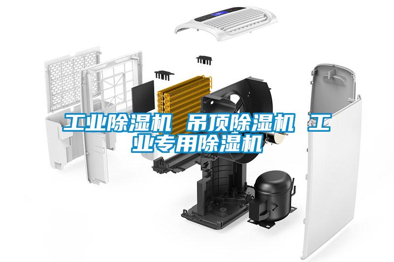 工業除濕機 吊頂除濕機 工業專用除濕機