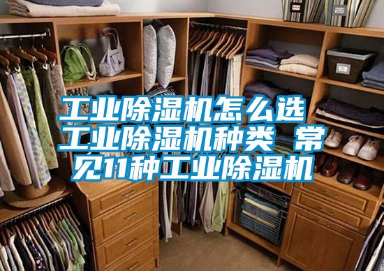 工業除濕機怎么選 工業除濕機種類 常見11種工業除濕機