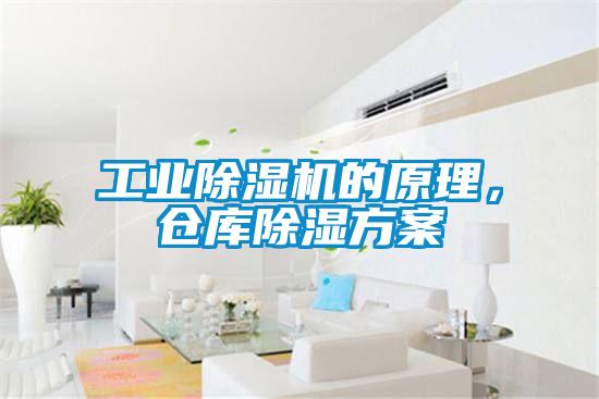 工業除濕機的原理，倉庫除濕方案