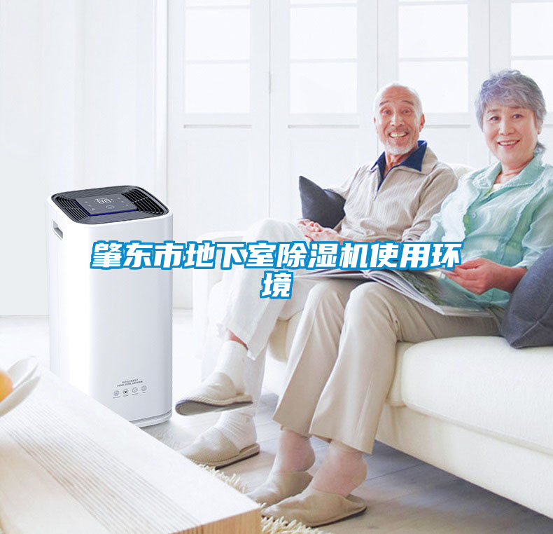 肇東市地下室除濕機使用環境