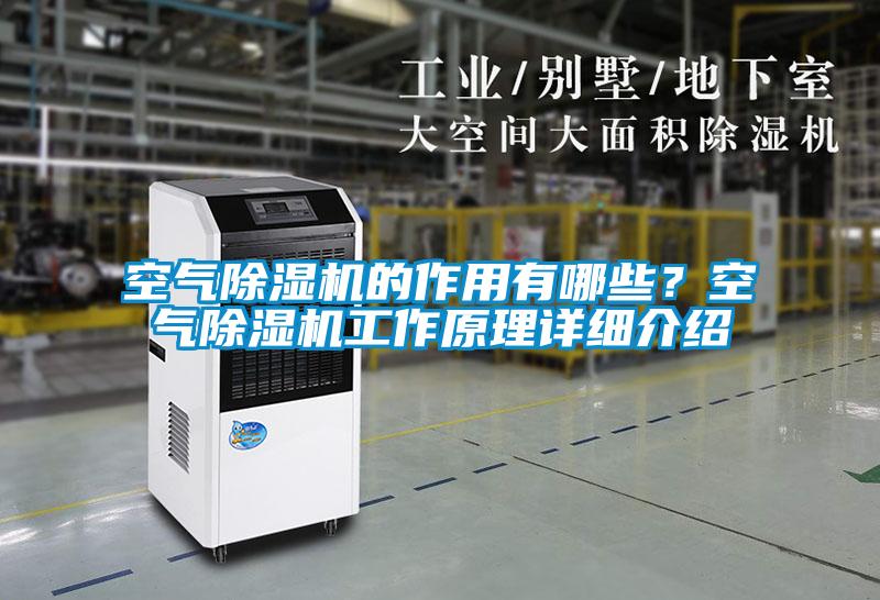 空氣除濕機的作用有哪些？空氣除濕機工作原理詳細介紹