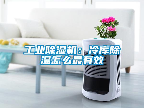 工業除濕機：冷庫除濕怎么最有效
