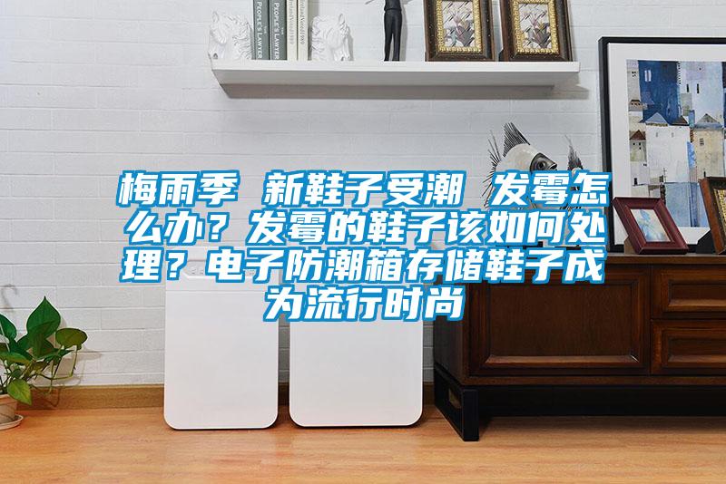 梅雨季 新鞋子受潮 發霉怎么辦？發霉的鞋子該如何處理？電子防潮箱存儲鞋子成為流行時尚
