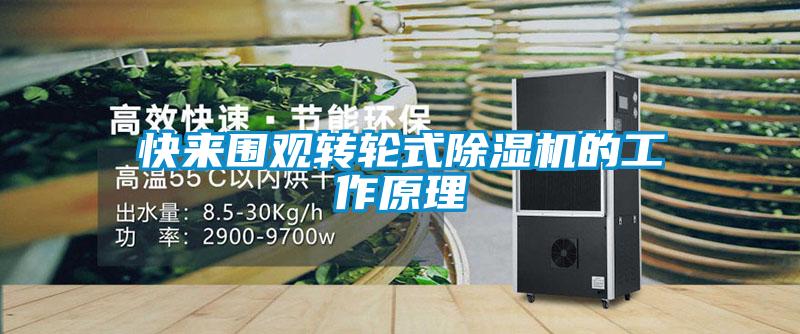 快來圍觀轉(zhuǎn)輪式除濕機的工作原理