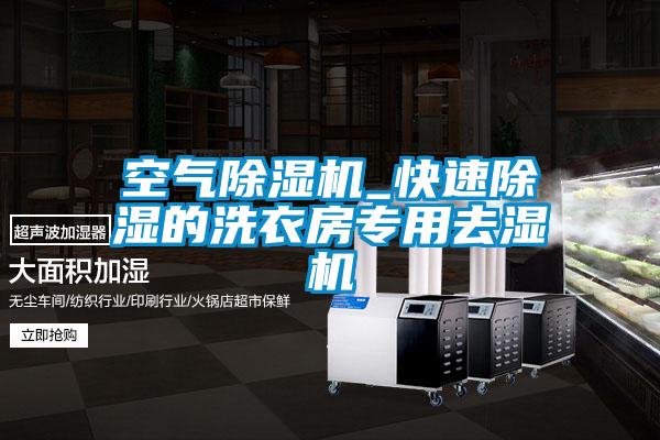 空氣除濕機_快速除濕的洗衣房專用去濕機