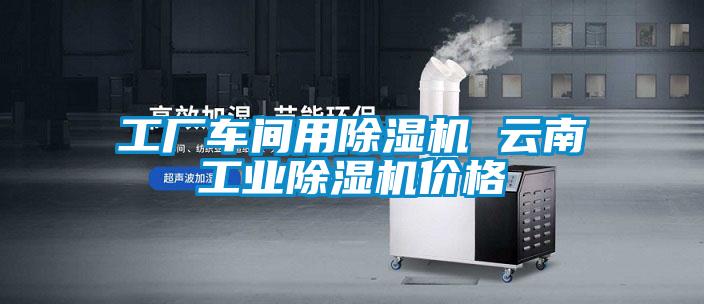 工廠車間用除濕機 云南工業除濕機價格