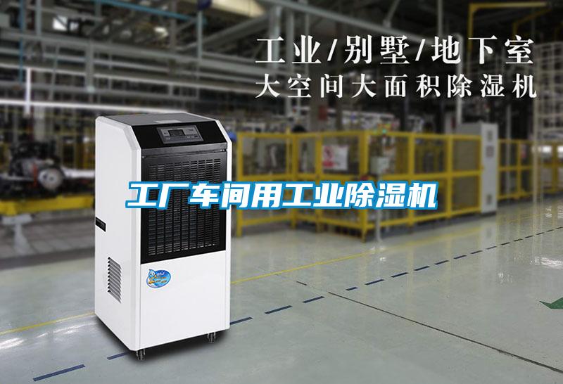 工廠車間用工業除濕機