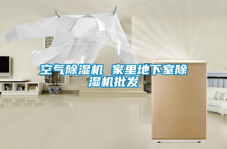 空氣除濕機 家里地下室除濕機批發(fā)