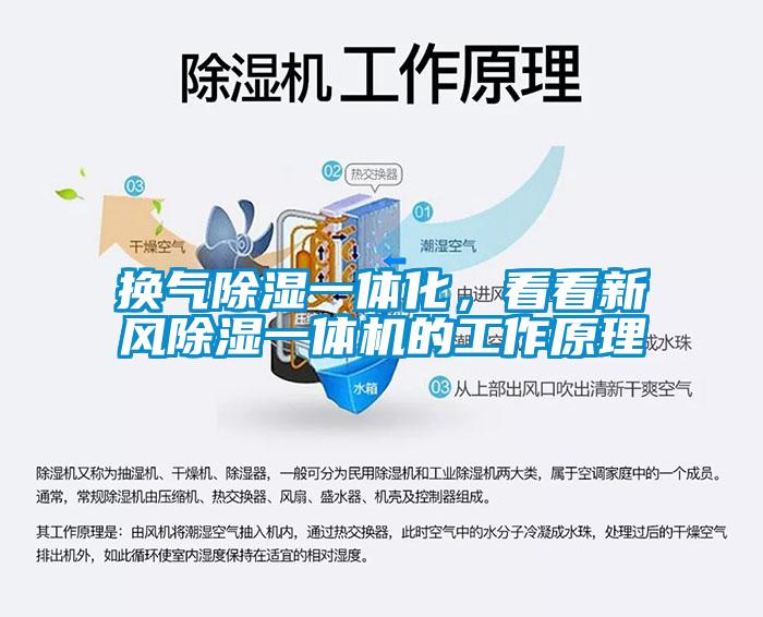 換氣除濕一體化，看看新風(fēng)除濕一體機的工作原理