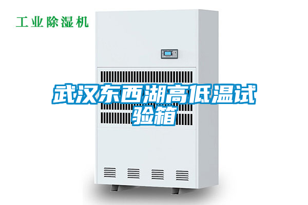 武漢東西湖高低溫試驗箱