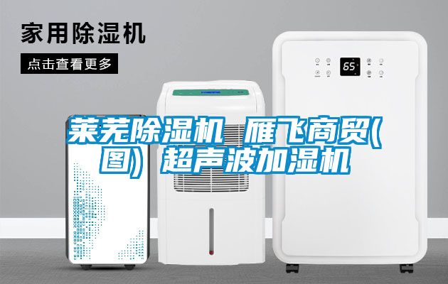 萊蕪除濕機 雁飛商貿(mào)(圖) 超聲波加濕機